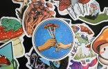 Des autocollants représentant des champignons hallucinogènes, dans une boutique de Portland, le 10 mai 2023 en Oregon