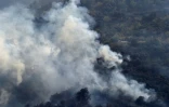 Un incendie de forêt dans la région d'Ait Daoud, dans le nord de l'Algérie, le 13 août 2021