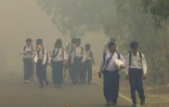 Des écoliers sur une route noyée dans une brume épaisse due aux incendies de forêt et de terres à Banjarbaru ans le Kalimantan du Sud, le 20 octobre 2026 en Indonésie