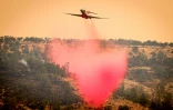 Un canadair lâche des produits ignifuges pour retarder la progession du Park Fire, dans le village de Paynes Creek en Californie, le 26 juillet 2024