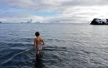 Baignade en Antarctique, près de l'île de Half Moon, le 9 novembre 2019