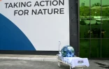 Une installation Greenpeace à l'extérieur du site accueillant la COP17, le 27 ocrtobre 2026 à Erevan, en Arménie