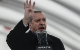 Le président turc Recep Tayyip Erdogan le 20 décembre 2016 à Istanbul