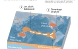 Le phénomène El Niño