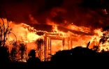 Des pompiers luttent contre un incendie dans la région viticole de Napa, le 9 octobre 2017