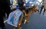 Une caricature du président Trump est affichée sur un chien dans les rues de Damas, le 14 avril 2018 pour dénoncer les frappes aériennes des Occidentaux