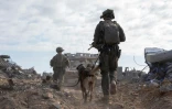 Cette photo diffusée par l'armée israélienne le 3 octobre 2024 montre des troupes israéliennes opérant dans la bande de Gaza 