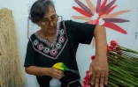 Martha Toledo pulvérise de l'eau sur des fleurs d'Inirida avant leur exportation, dans département de Guainia, Colombie, le 7 août 2024