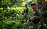 Des guerilleros maoïstes de la Nouvelle armée du peuple (NPA), dans les montagnes de la Sierra Madre, dans la jungle philippine, le 30 juillet 2017