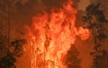 Un feu de brousse à Bobin, à 350 km au nord de Sydney, le 9 novembre 2019, l'un de la centaine qui ravagent actuellement la côte est de l'Australie