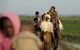 Des Rohingyas, minorité musulmane de Birmanie, originaire de l'Etat de Rakhine marchent vers Ukhia, à la frontière entre la Birmanie et le Bangladesh, le 4 septembre 2017
