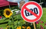 Un panneau anti-G20 installé par des activistes dans un parc de Hambourg, le 26 juin 2017 avant le sommet du G20