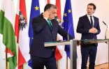 Le chancelier autrichien Sebastian Kurz (d) et le Premier minitre hongrois Viktor Orban, lors d'une conférence de presse, le 30 janvier 2018 à Vienne