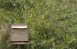 Boîtes aux lettres
