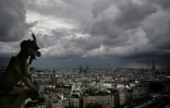 Une gargouille du toit de la cathédrale Notre-Dame de Paris, le 28 juin 2017