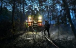 Des pompiers dans la forêt de Brocéliande, en Bretagne, le 18 juillet 2025