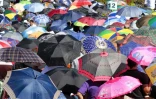 Lundi 15 Août 2011
Parasols Ă la messe de l'Assomption Ă Sainte-Rose