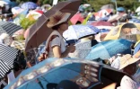 Lundi 15 Août 2011
Parasols Ă la messe de l'Assomption Ă Sainte-Rose