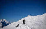 Un chien d'avalanche et un sauveteur participent à un entraînement à la station de ski de La Rosière, le 4 février 2025 en Savoie