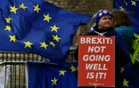 Une manifestante anti-Brexit devant le Parlement à Londres, le 13 mars 2019