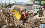 Opération de nettoyage à Mamoudzou, le chef-lieu de Mayotte, le 29 décembre 2024