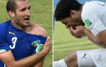 Photomontage de l'Italien Giorgio Chiellini (g) montrant les traces de dents sur son épaule de l'Uruguayen Luis Suarez au Mondial-2014, le 24 à Natal  