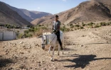 Un jeune bédouin palestinien sur son âne à Ras Ein al-Auja, dans la vallée du Jourdain, en Cisjordanie occupée, le 30 septembre 2025 