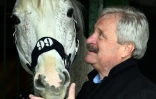 Marek Trela, ancien directeur d'un élevage de pur-sang, regarde un cheval dans une étable près de Varsovie, le 2 mars 2016
