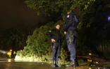 Des policiers près d'un arbre tombé sur la chaussée à Nice, le 3 octobre 2015