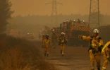Des pompiers s’efforcent d’éteindre un incendie à Marcheprime, à l’ouest de Bordeaux, le 26 juillet 2026, alors qu’un feu de forêt ravage le massif situé au nord du bassin d’Arcachon (Gironde) depuis le 22 juillet