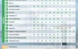 Jeux Paralympiques : le calendrier de la compétition