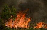 Incendie à Saint-Magne, le 11 août 2022 en Gironde