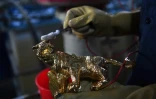 Un artisan nettoie une figurine de tigre plaquée or dans un atelier à Hanoï au Vietnam le 19 janvier 2022