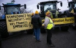 Des agriculteurs français manifestent devant le Palement européen contre l'accord du Mercosur, à Strasbourg le 19 décembre 2024