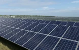 Une ferme solaire à Punta Gorda, le 22 avril 2016, en Floride