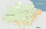 Incendies et déforestation en Amazonie brésilienne