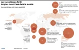 Les incendies de forêt les plus meurtriers dans le monde
