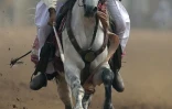 Les admirateurs du tent-pegging, un art équestre réservé aux casse-cous au Pakistan, redoutent que la tradition ne soit en train de dépérir