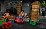 Grand nettoyage d'ustensiles de cuisine devant un magasin avant réouverture à Shanghai qui reprend vie après deux mois de confinement anti-Covid, le 1er juin 2022