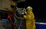 Des pêcheurs sur le pont du chalutier dans les eaux anglaises de la Manche, le 28 septembre 2020.