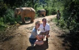 Des touristes se font photographier à proximité de deux éléphants dans le parc de ChangChill, près de Chiang Mai, le 6 novembre 2019 en Thaïlande