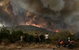 La forêt en feu à Sikorahi, près d'Alexandroupoli, dans le nord de la Grèce, le 23 août 2023