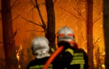 Des pompiers luttent contre un feu de forêt à Saint-Jean-d'Illac, près de Bordeaux, le 26 juillet 2026 en Gironde