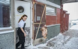 Une employée thaïlandaise dans un restaurant à Ilulissat, au Groenland, le 18 mars 2026
