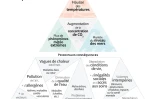 Les multiples impacts du changement climatique