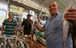 Un vendeur de poisson irakien dans un marché de l'est de Mossoul le 28 juillet 2017