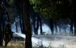 Des pompiers tentent d'éteindre l'incendie dans le parc naturel de Doñana au sud de l'Espagne, le 25 juin 2017 près de Mazagon