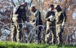 Des soldats slovènes installent des barbelés le 11 novembre 2015 à Sela pri Dobovi près de Brezice à la frontière avec la Croatie