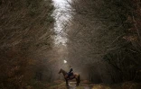 Un "bouton", chasseur à courre dans la forêt près de Châtenoy, en France, le 23 décembre 2017