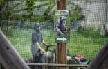 Un employé prépare la réouverture au public du parc zoologique de Saint-Martin-la-Plaine, le 17 mai 2021
